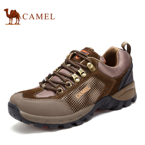 Camel/骆驼 3w336002-026-2330055