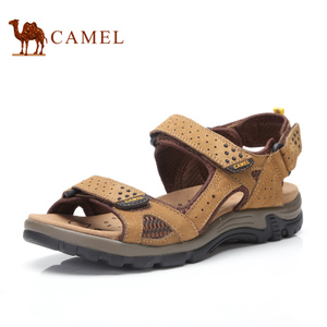 Camel/骆驼 262341015