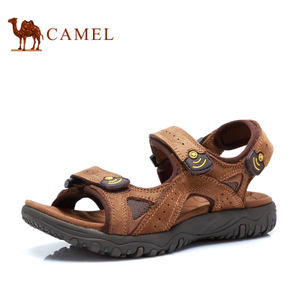 Camel/骆驼 P93080302