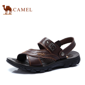 Camel/骆驼 P92110392