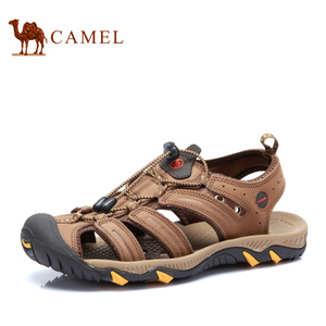 Camel/骆驼 P93960072