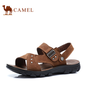 Camel/骆驼 P92110372
