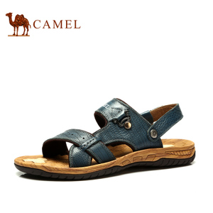 Camel/骆驼 2266119
