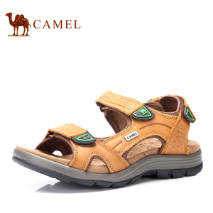 Camel/骆驼 262307146