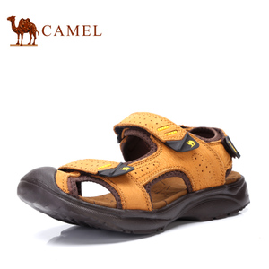 Camel/骆驼 262309082