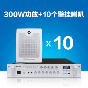 300W10