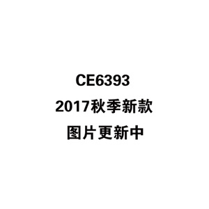 CE6393