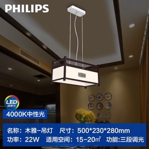 Philips/飞利浦 31206-40W-60times0.6W-22W