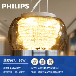 Philips/飞利浦 220-240V-50-36W