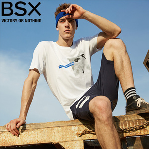 BSX 04097234