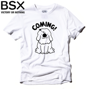 BSX 83097207