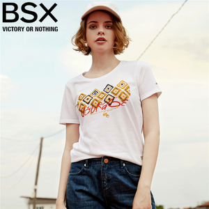 BSX 04397240
