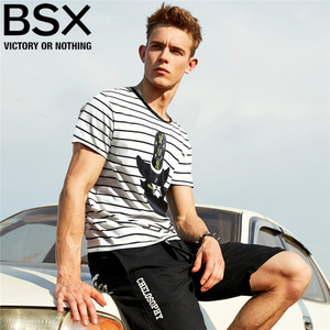 BSX 04097241