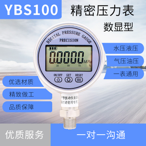 YBS-100