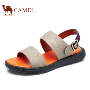 Camel/骆驼 722211522