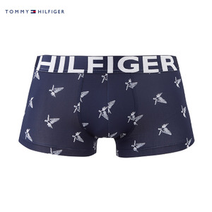 TOMMY HILFIGER UM0UM00096NS-416