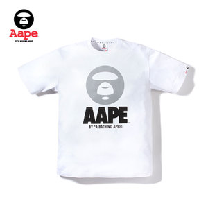 Aape AAPTEMG2422XX