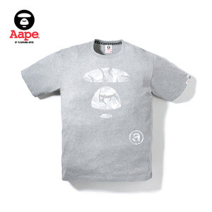 Aape AAPTEMG2428XX