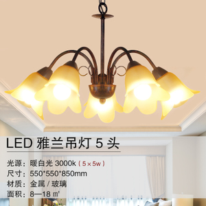 LED55W