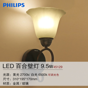 45129-LED