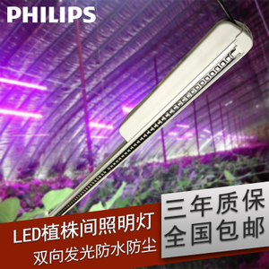 GREENPOWER-LED