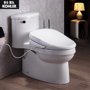 KOHLER/科勒 5171t18649t