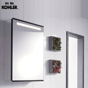 KOHLER/科勒 96106T-R