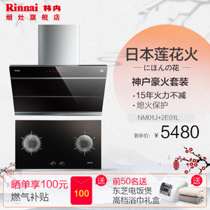 Rinnai/林内 Rinnai