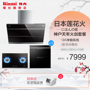 Rinnai/林内 Rinnai