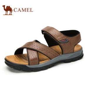 Camel/骆驼 A622060342.