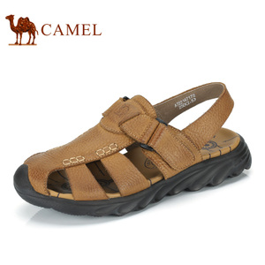 Camel/骆驼 A722147172.