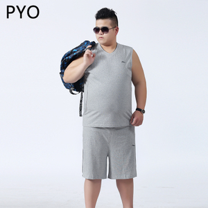 PYO PYO3303