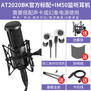 Audio Technica/铁三角 IM50