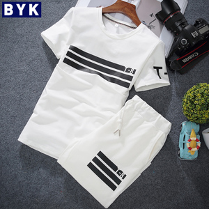 BYK B-T6617