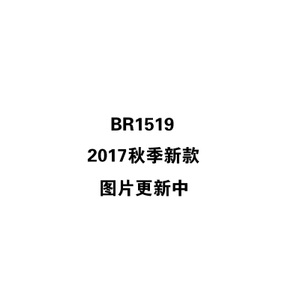 BR1519