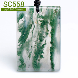 SC558