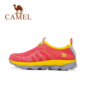 Camel/骆驼 61303620