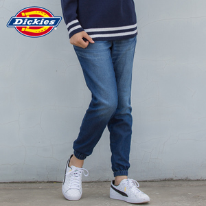 Dickies 173W40EC02-ILB