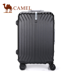 Camel/骆驼 MA218158