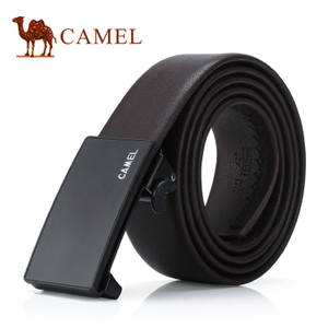 Camel/骆驼 DF218151-02