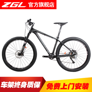 ZGL CYCLONE-J5