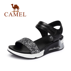 Camel/骆驼 62132634