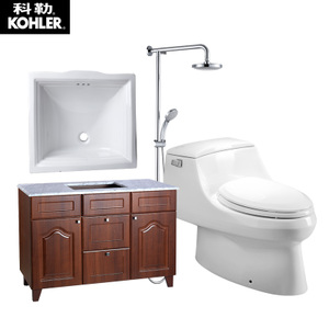 KOHLER/科勒 5483T5429T13989T-5483T5429T