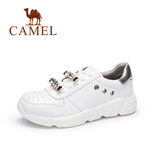 Camel/骆驼 A73518601