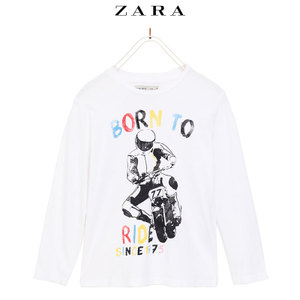 ZARA 03860784250-21