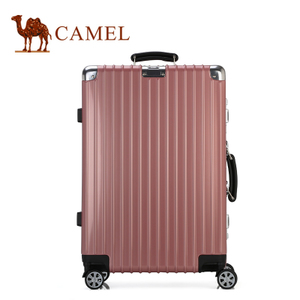 Camel/骆驼 MA264003