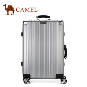 Camel/骆驼 MA264003