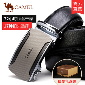 Camel/骆驼 DF193408