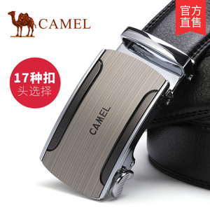 Camel/骆驼 DF193408