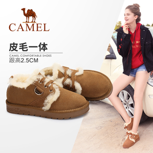 Camel/骆驼 A74502632